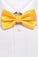 Fashion Polyester Bow Tie Yellow