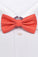 Fashion Polyester Bow Tie Orange Red
