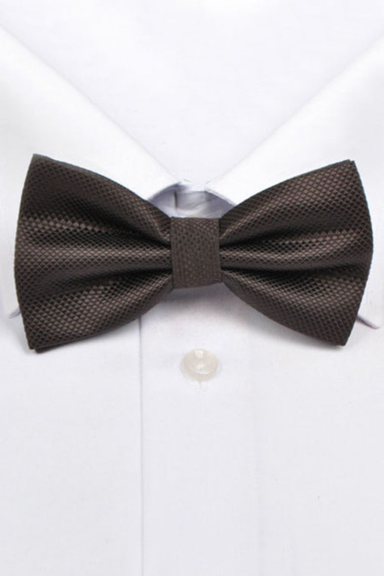 Fashion Polyester Bow Tie Brown