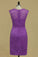 2022 Lace  Mother Of The Bride Dresses Sheath Scoop With Sash
