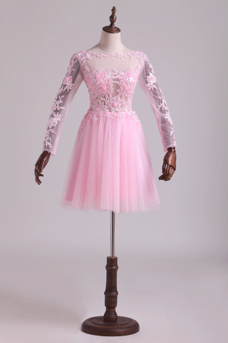 2024 Bateau Homecoming Dresses A Line With Embroidery & Beads Tulle Mini