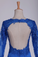 2022 Royal Blue Prom Dresses Long Sleeves Mermaid/Trumpet Satin With Applique Backless