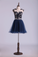 2024 Homecoming Dresses A Line Scoop Short Tulle Dark Navy