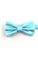 Aqua Blue Bow Tie #LJC8011