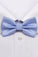 Fashion Polyester Bow Tie Lavender