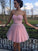 A-Line/Princess Sweetheart Sleeveless Camryn Pleats Tulle Short/Mini Homecoming Dresses Dresses